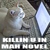 Kitty writer